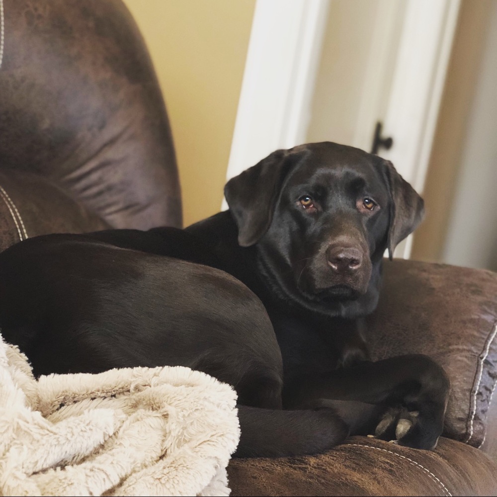 Meet your Posher, Roger